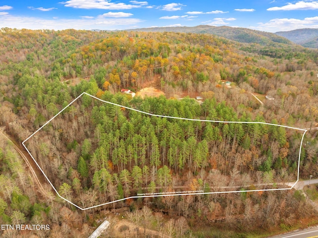 167 Balfour Dr, Harriman, TN 37748 - photo 1