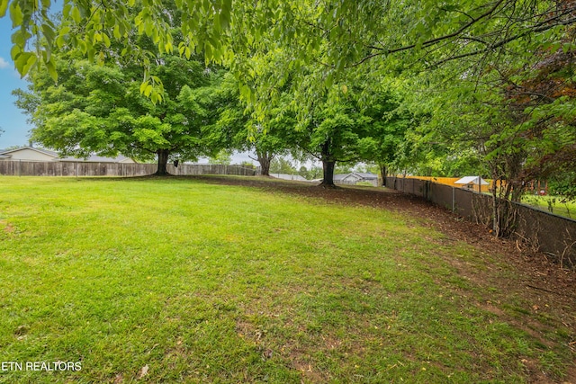 7513 Inverrary Cir, Knoxville, TN 37918 - view of yard