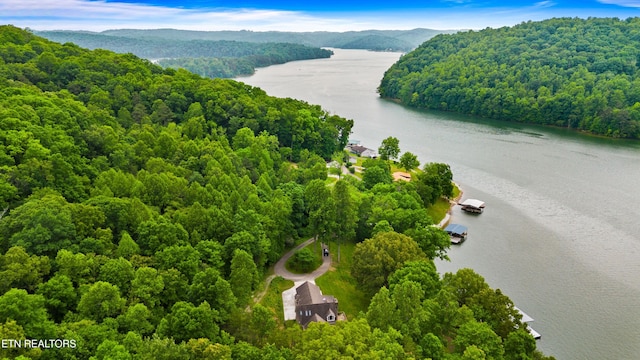 444 Chapman Village Dr, Lafollette, TN 37766 - bird's eye view of a water and mountain view and a heavily wooded area