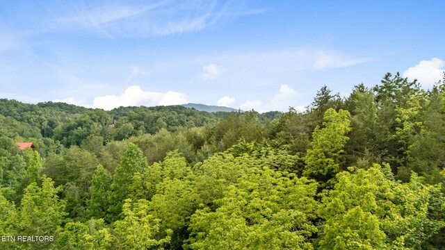 LOT159 Eagle Feather Dr, Sevierville, TN 37876 - photo 2