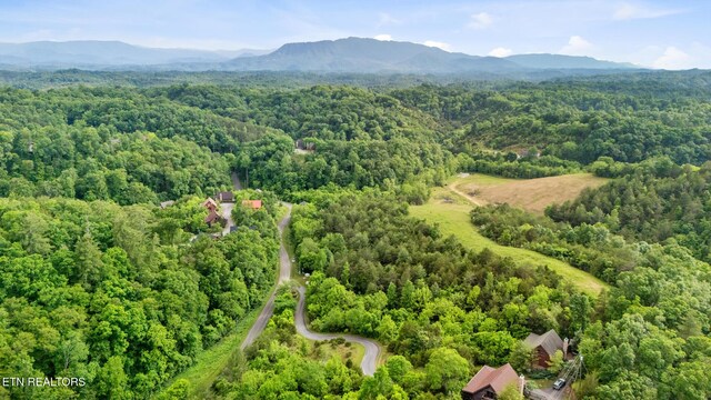 LOT159 Eagle Feather Dr, Sevierville, TN 37876 - photo 7