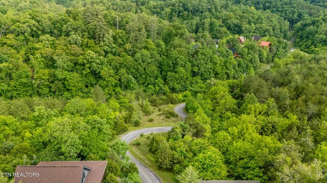 LOT159 Eagle Feather Dr, Sevierville, TN 37876 - photo 8