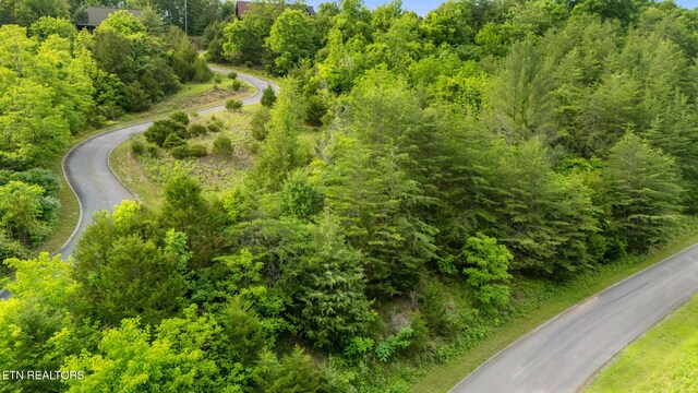 LOT159 Eagle Feather Dr, Sevierville, TN 37876 - photo 11