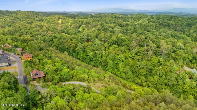LOT159 Eagle Feather Dr, Sevierville, TN 37876 - photo 12