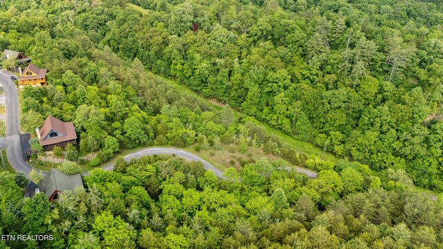 LOT159 Eagle Feather Dr, Sevierville, TN 37876 - photo 13