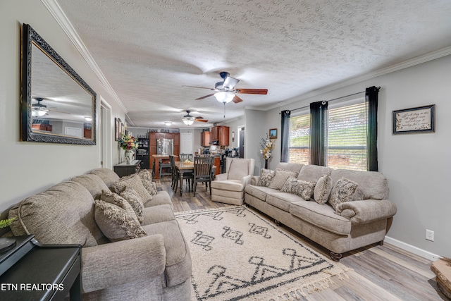 1418 Gulley River Rd, Harrogate, TN 37752 - living area featuring a ceiling fan, light wood-style flooring, crown molding, a textured ceiling, and baseboards