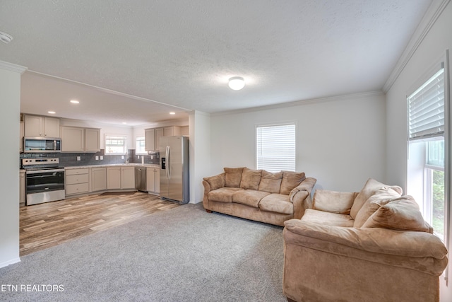 1418 Gulley River Rd, Harrogate, TN 37752 - living area featuring light carpet, crown molding, a textured ceiling, recessed lighting, and light wood-type flooring