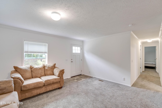 1418 Gulley River Rd, Harrogate, TN 37752 - carpeted living area with crown molding, a textured ceiling, and baseboards