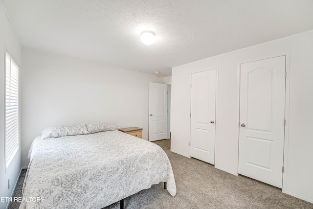 1418 Gulley River Rd, Harrogate, TN 37752 - bedroom with light carpet, ornamental molding, and a textured ceiling