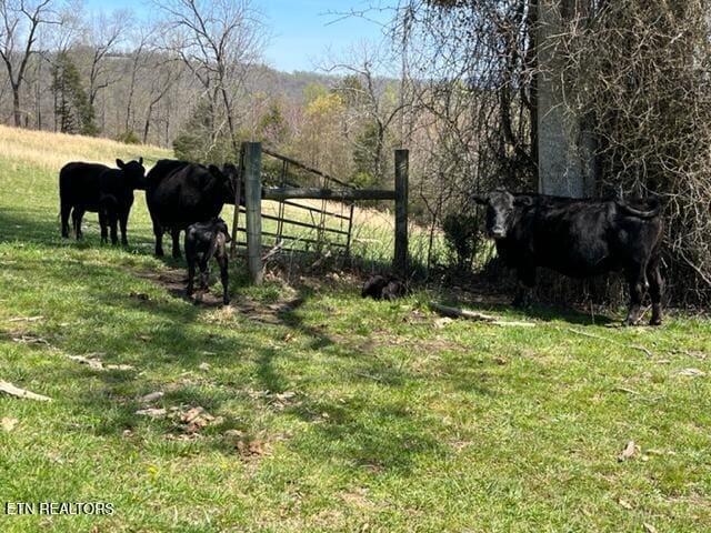 1418 Gulley River Rd, Harrogate, TN 37752 - view of yard with a rural view