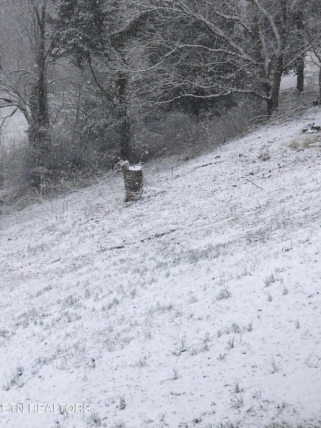 1418 Gulley River Rd, Harrogate, TN 37752 - view of snowy yard