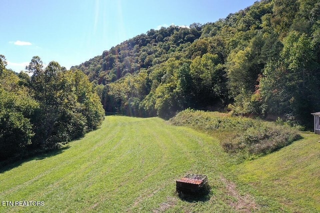 1418 Gulley River Rd, Harrogate, TN 37752 - drone / aerial view of a heavily wooded area