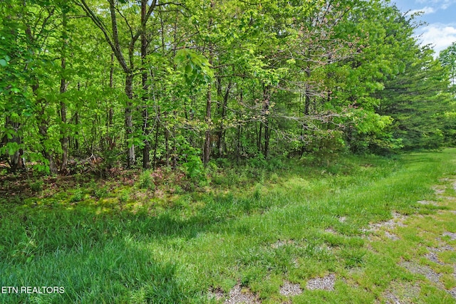 Emerald Pl, Monterey, TN 38574