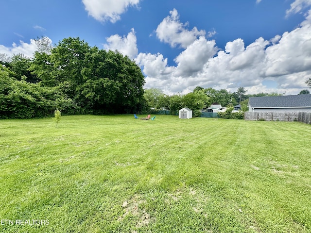 view of yard featuring a storage unit and an outbuilding