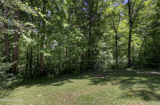 view of grassy yard with a view of trees