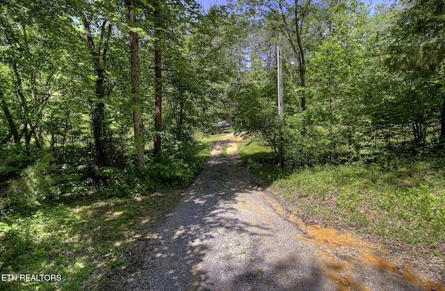 view of dirt / gravel road with a view of trees