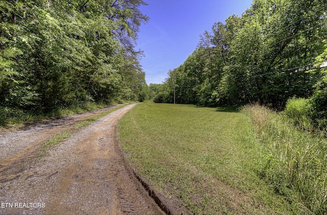 view of street with a view of trees