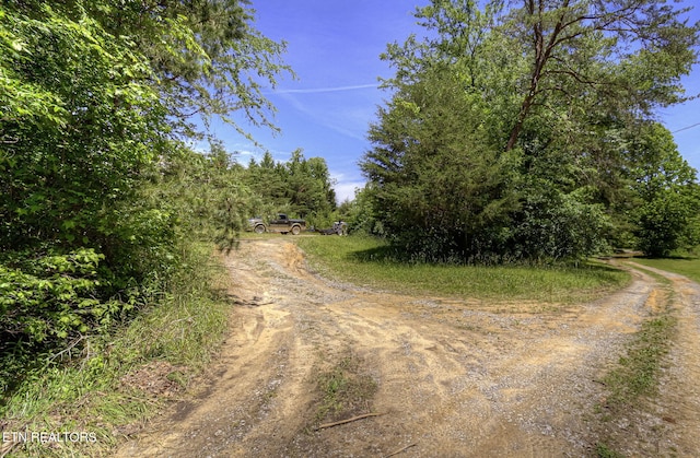 view of dirt / gravel road