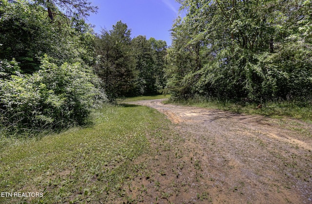 view of street featuring a wooded view