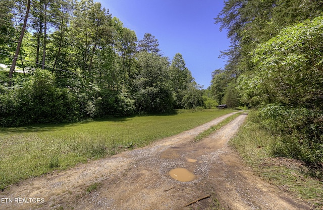 view of dirt / gravel road with a view of trees
