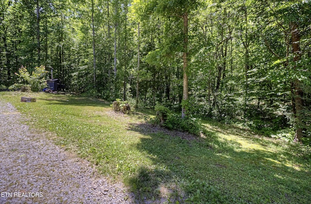 view of grassy yard with an outbuilding, a wooded view, and a storage unit