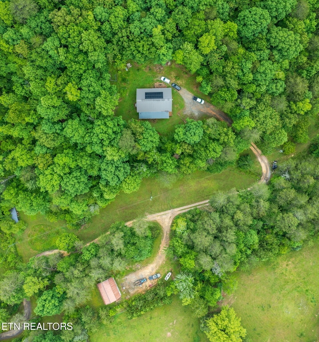 570 Gamble Gap Rd, Tellico Plains, TN 37385 - photo 38