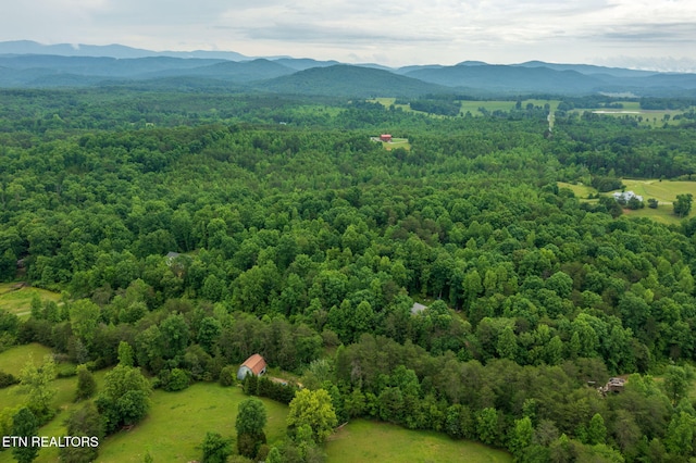 570 Gamble Gap Rd, Tellico Plains, TN 37385 - photo 40