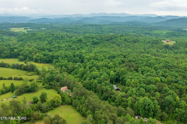 570 Gamble Gap Rd, Tellico Plains, TN 37385 - photo 42