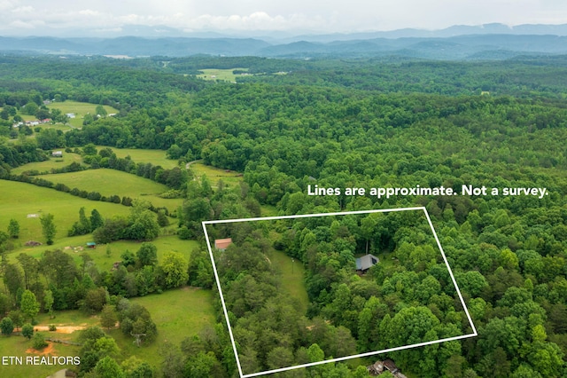 570 Gamble Gap Rd, Tellico Plains, TN 37385 - photo 43