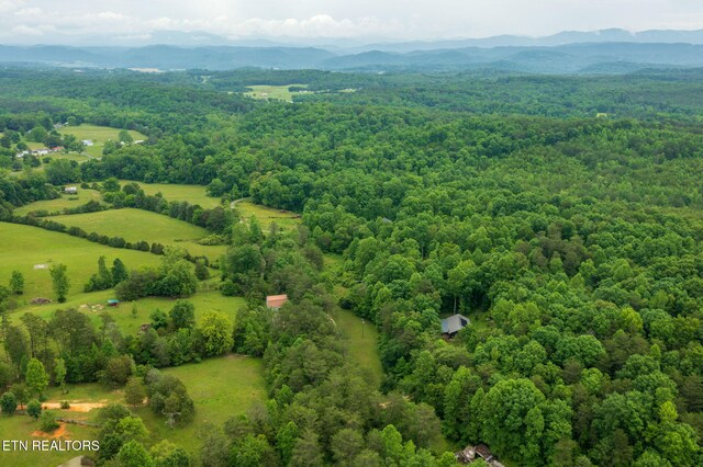 570 Gamble Gap Rd, Tellico Plains, TN 37385 - photo 44