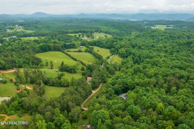 570 Gamble Gap Rd, Tellico Plains, TN 37385 - photo 45