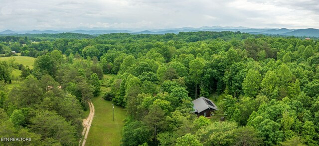 570 Gamble Gap Rd, Tellico Plains, TN 37385 - photo 48