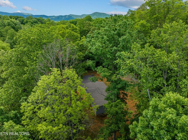 1452 Lower English Creek Rd, Newport, TN 37821 - aerial view of a forest and a mountain backdrop