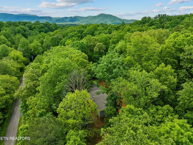 1452 Lower English Creek Rd, Newport, TN 37821 - drone / aerial view of a forest and a mountain backdrop