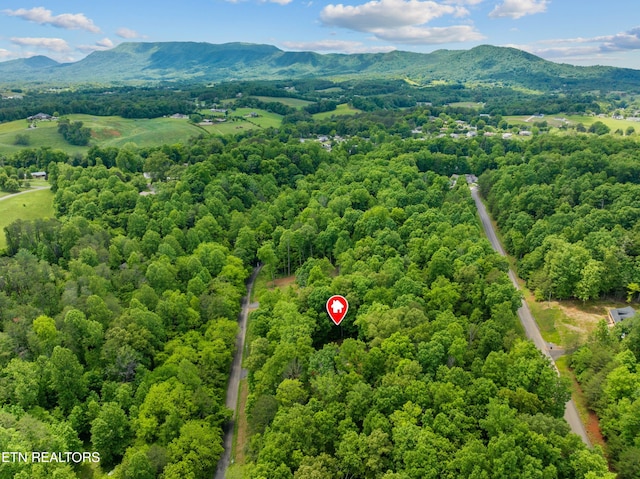 1452 Lower English Creek Rd, Newport, TN 37821 - drone / aerial view of a mountain backdrop and a forest