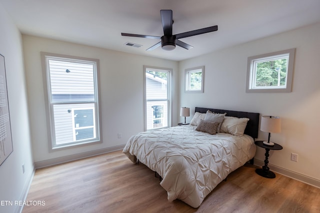 12516 Dalton View Ln, Knoxville, TN 37932 - bedroom with light wood finished floors and ceiling fan