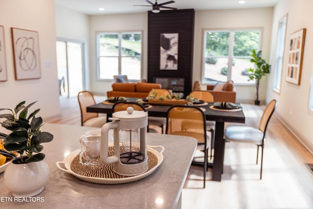 12516 Dalton View Ln, Knoxville, TN 37932 - dining space featuring healthy amount of natural light, wood finished floors, recessed lighting, and ceiling fan