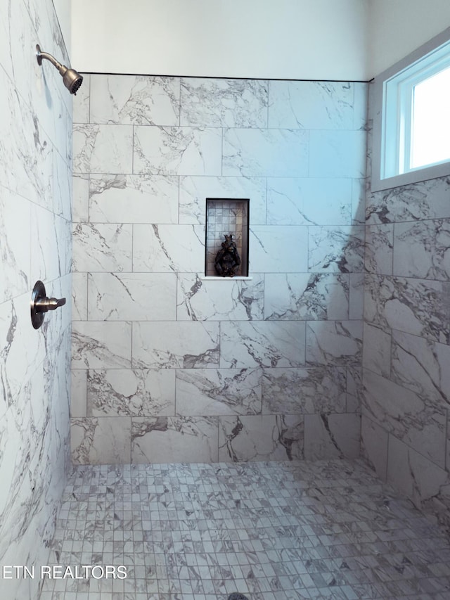 12516 Dalton View Ln, Knoxville, TN 37932 - full bath featuring a tile shower