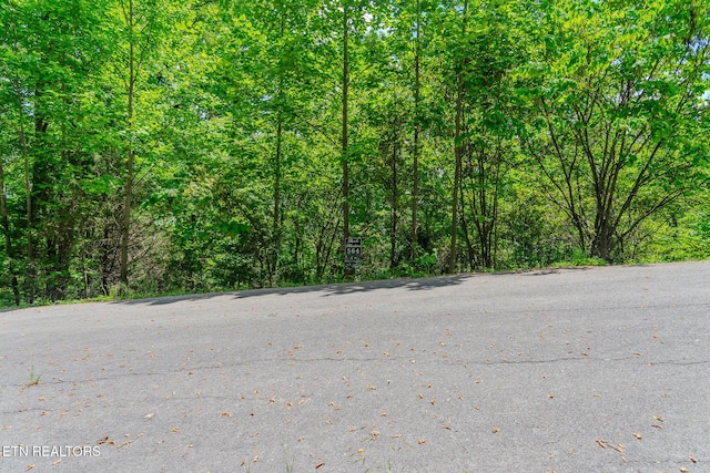 Tortoiseshell Cir, New Tazewell, TN 37825