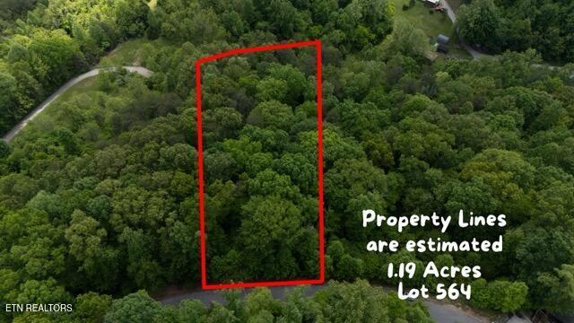 Tortoiseshell Cir, New Tazewell, TN 37825