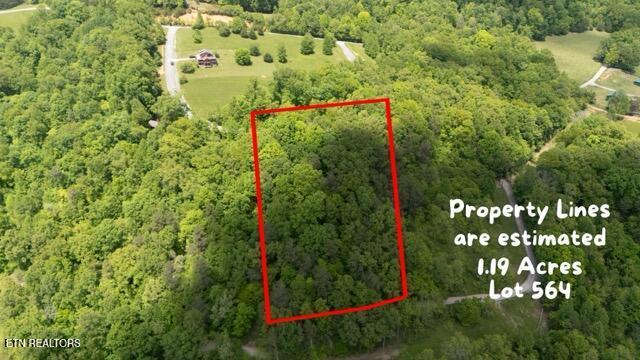Tortoiseshell Cir, New Tazewell, TN 37825