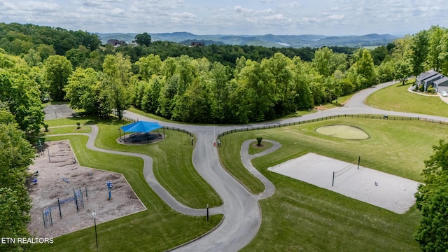 Tortoiseshell Cir, New Tazewell, TN 37825