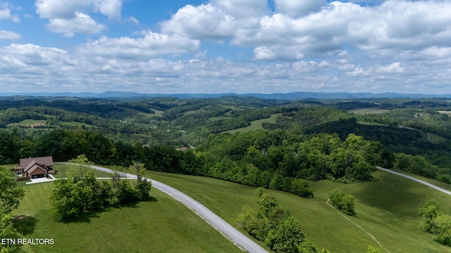 Tortoiseshell Cir, New Tazewell, TN 37825