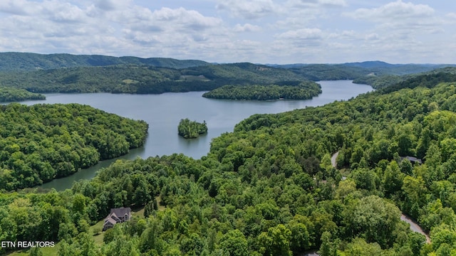 Tortoiseshell Cir, New Tazewell, TN 37825