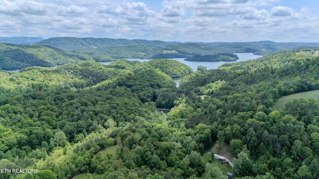 Tortoiseshell Cir, New Tazewell, TN 37825