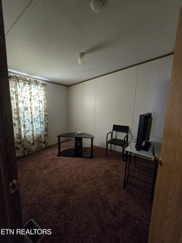 3023 Cave Springs Rd, Tazewell, TN 37879 - unfurnished bedroom featuring carpet flooring and a textured ceiling