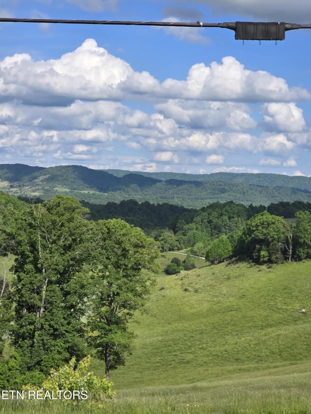 3023 Cave Springs Rd, Tazewell, TN 37879 - mountain view featuring a forest