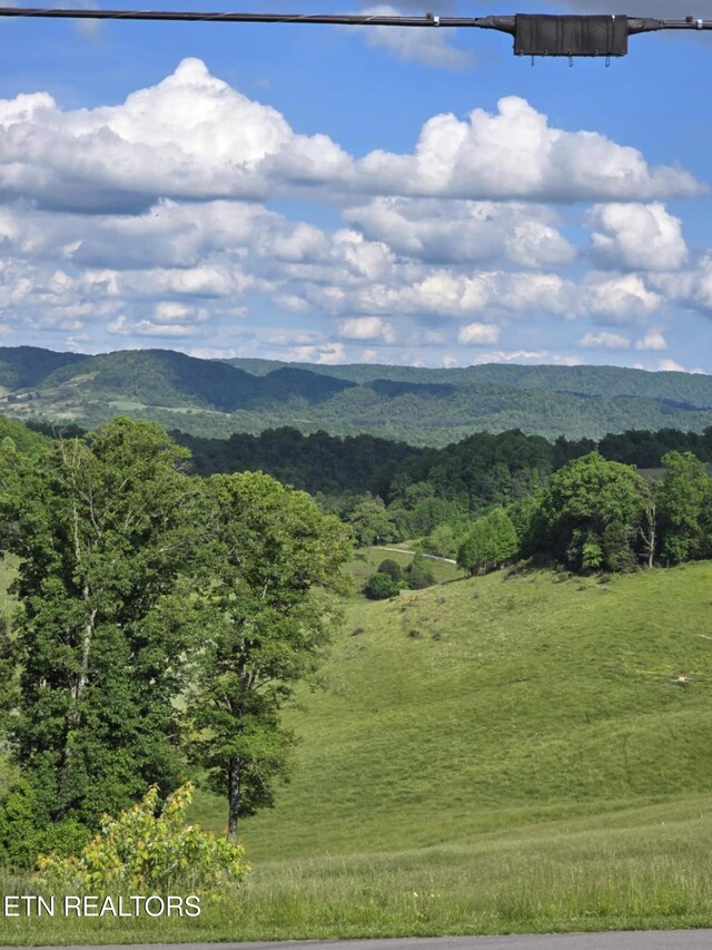 3023 Cave Springs Rd, Tazewell, TN 37879 - mountain view with a forest
