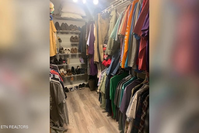 10008 Greylock Way, Knoxville, TN 37931 - spacious closet with wood finished floors