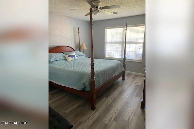 10008 Greylock Way, Knoxville, TN 37931 - bedroom with wood finished floors, a textured ceiling, baseboards, and ceiling fan